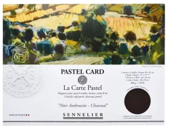 Pack 6 Papeles Pastel Card Sennelier 40x30cm 360g/m²