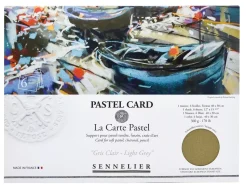 Pack 6 Papeles Pastel Card Sennelier 40x30cm 360g/m²