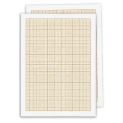 Pack Papel Milimetrado Basik Canson 100g/m²