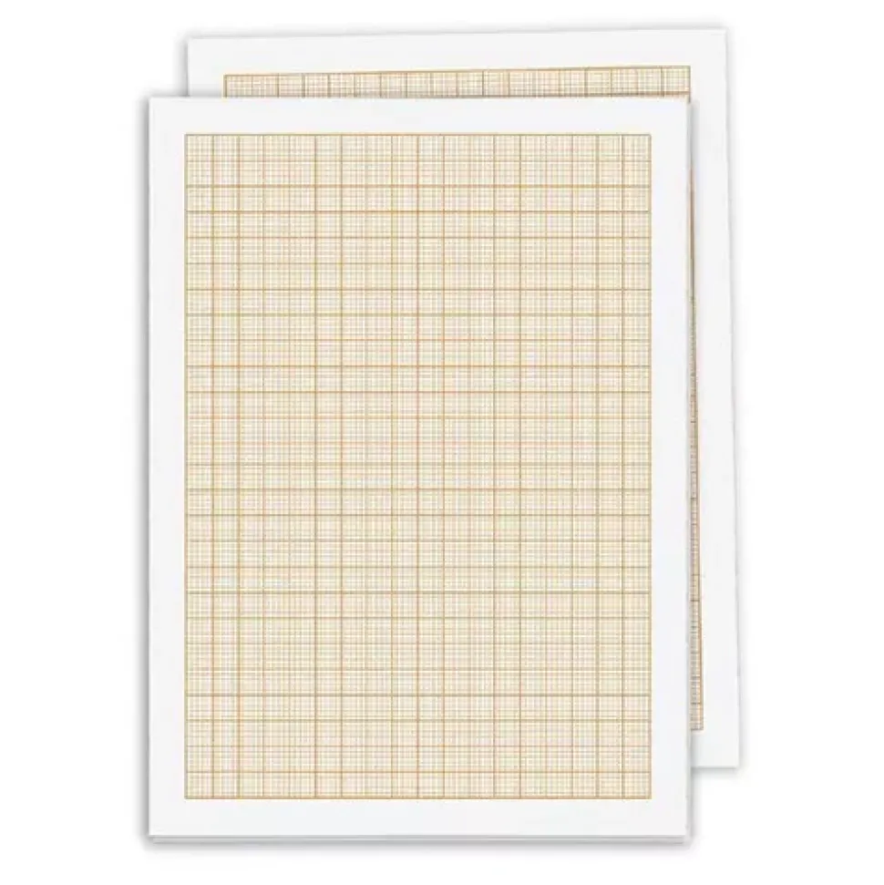Pack Papel Milimetrado Basik Canson 100g/m²
