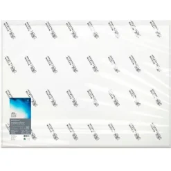 Papel acuarela Professional 100% algodón grano satinado Winsor & Newton 56x76cm 300gr