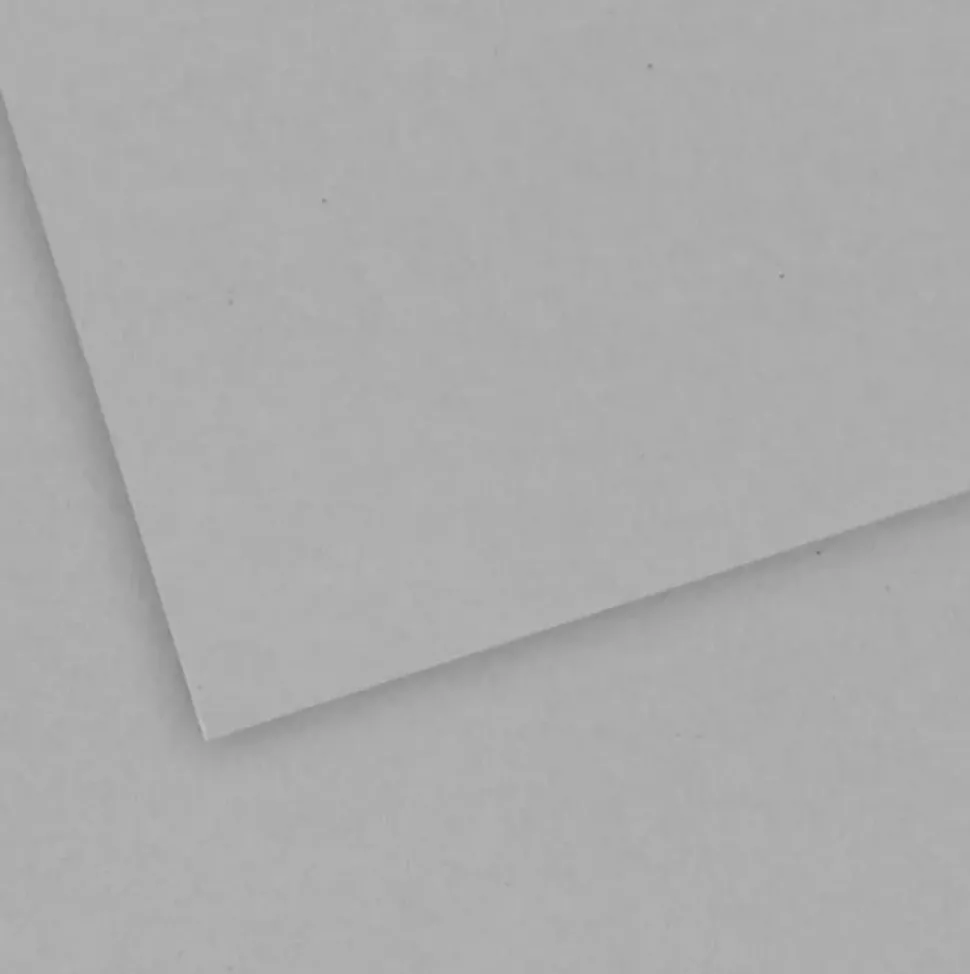 Papel Dibujo Tintado “C” à Grain Grano Fino Canson 50x65cm 250g/m²