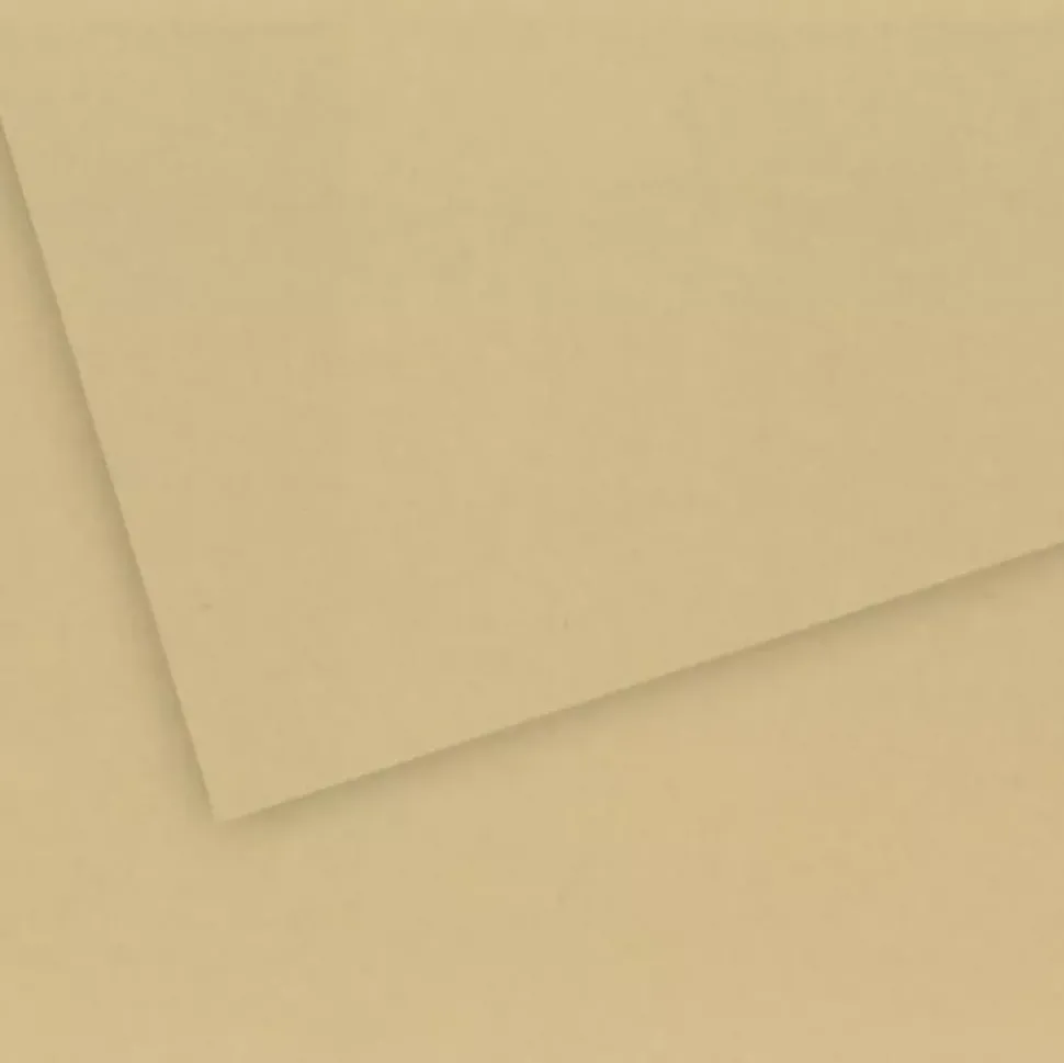 Papel Dibujo Tintado “C” à Grain Grano Fino Canson 50x65cm 250g/m²