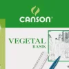 Papel Vellum Vegetal Basik Satinado Canson 70x100cm 90-95g/m²
