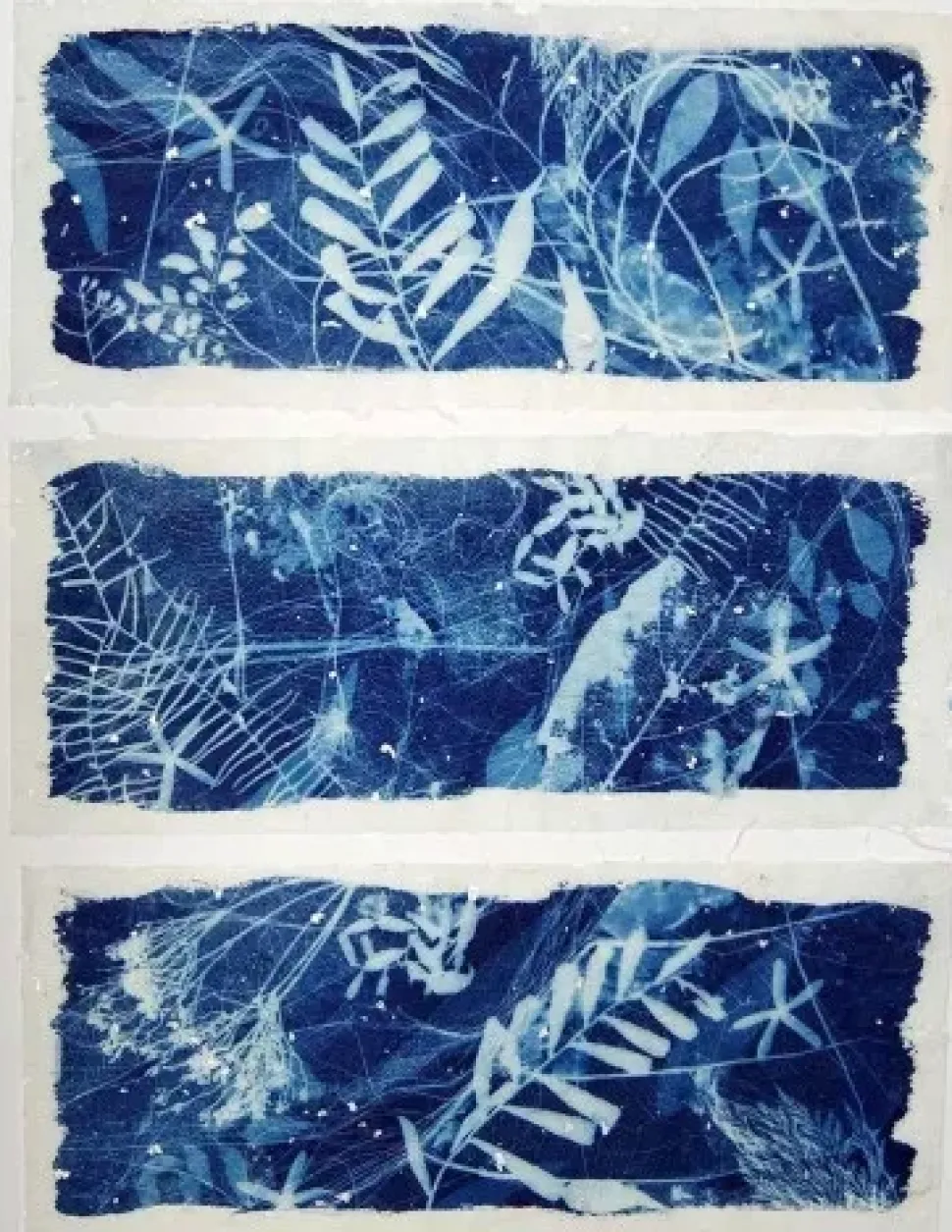 Set 2 componentes para Cianotipia Jacquard