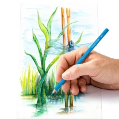 Set 12 lápices de colores acuarelables 146 10C Staedtler