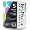 Set 5 Pasteles Bright Cool y esponjas PanPastel 9ml