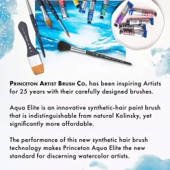 Set 4 Pinceles Aqua Elite Professional Princeton