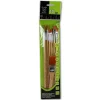 Set 9 Pinceles de Pelo Sintético + 1 Paletina Raphaël