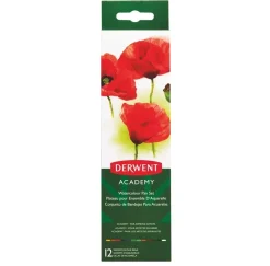 Set de 12 Acuarelas Academy Derwent