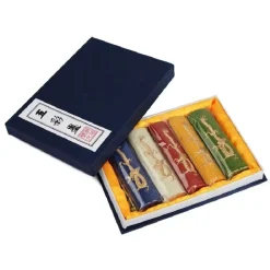 Set de 5 barras de tinta china solubles