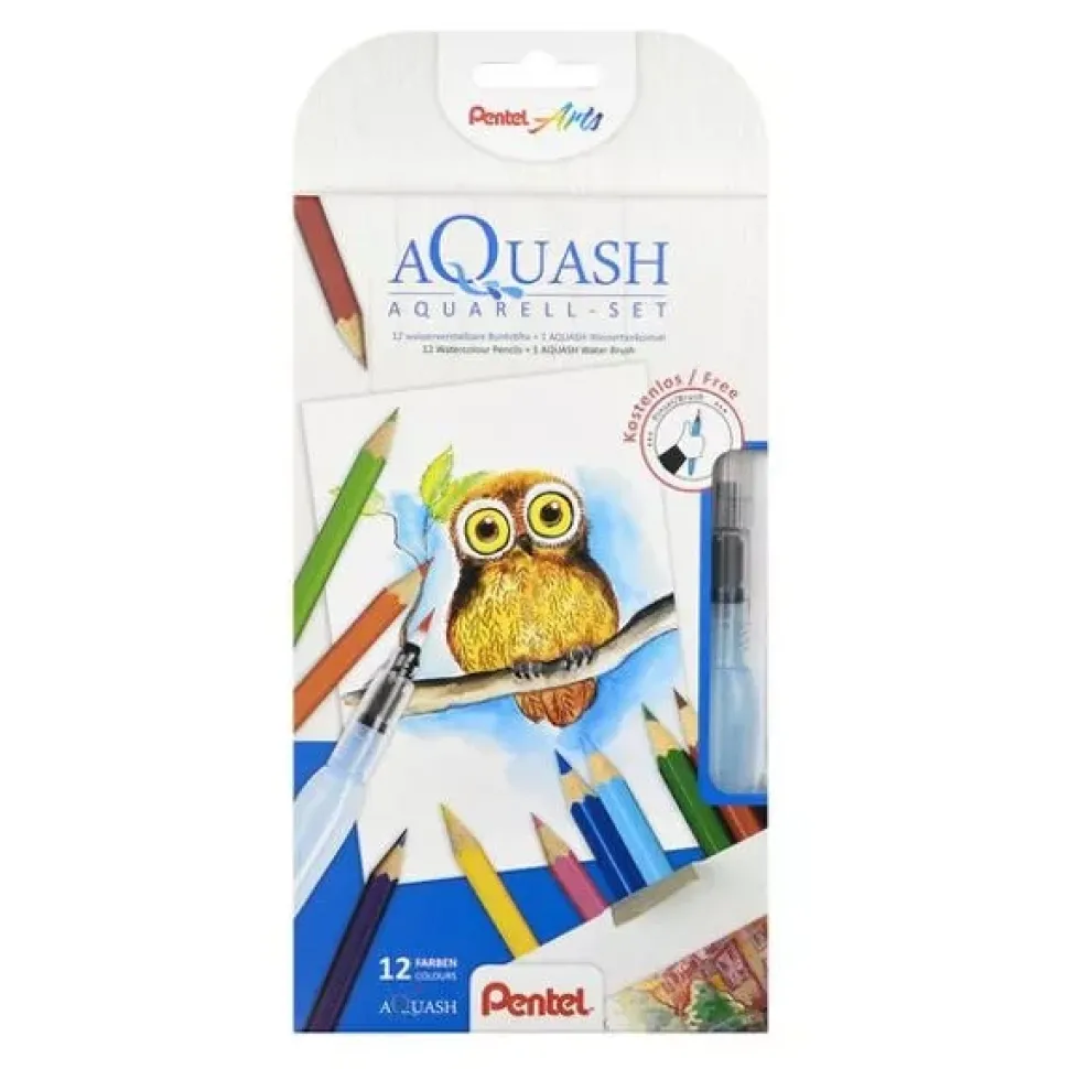 Set de 12 lápices acuarelables Pentel Arts
