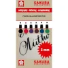 Set de 6 rotuladores para caligrafía Pigma Sakura 3mm.