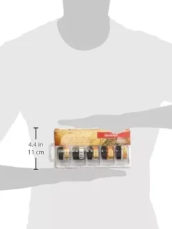 Set de 5 tintas de caligrafía y paleta Speedball 12ml