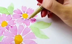 Set de acuarela multibrand Floral Talens