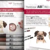 Starter Set Rotulador ABT PRO Tombow