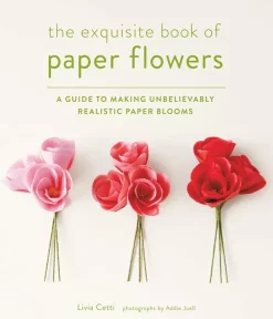The exquisite book of paper flowers