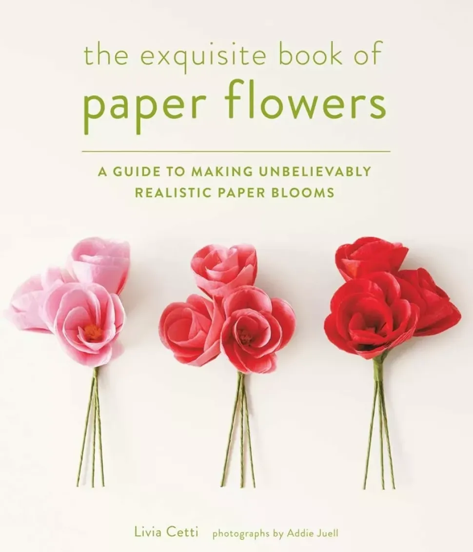The exquisite book of paper flowers