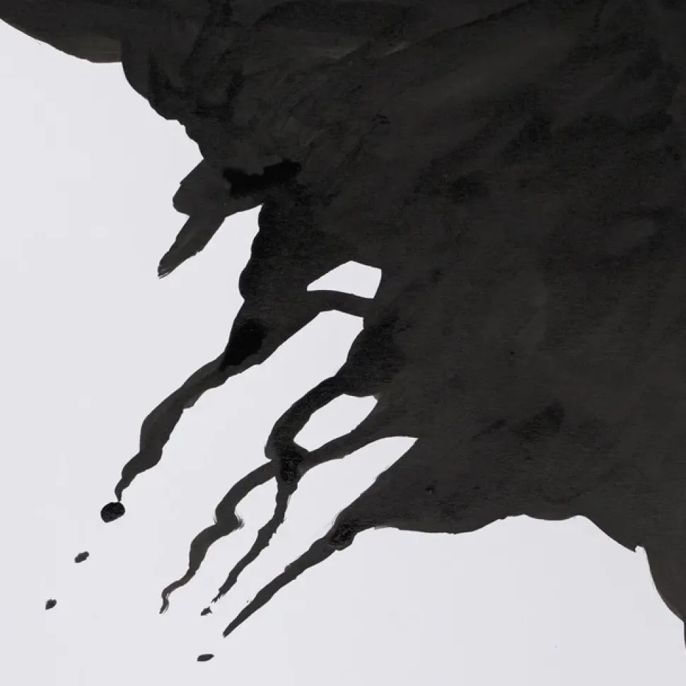 Tinta Dibujo 030 Negro Black Indian Ink Winsor and Newton 14ml