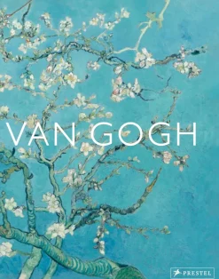 Van Gogh The Bigger Picture