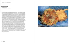 Vincent Van Gogh Masters of Ar
