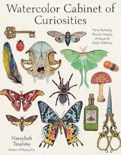 Watercolor Cabinet of Curiosities