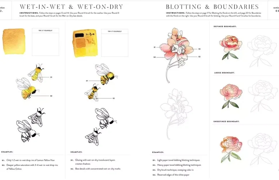 Watercolor Workbook Flowers, Feathers and Animal Friends