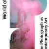 World of Art The Photograph as Contemporary Art